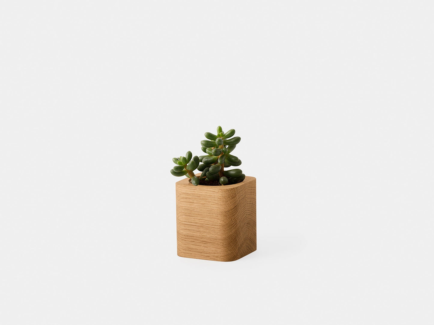 Cubic Pot (Outlet)