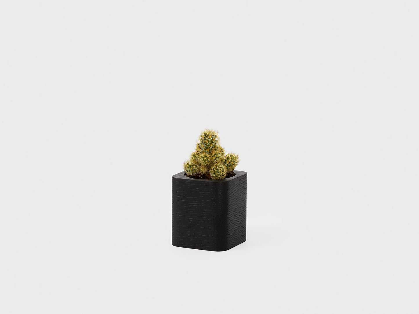 Cubic Pot (Outlet)