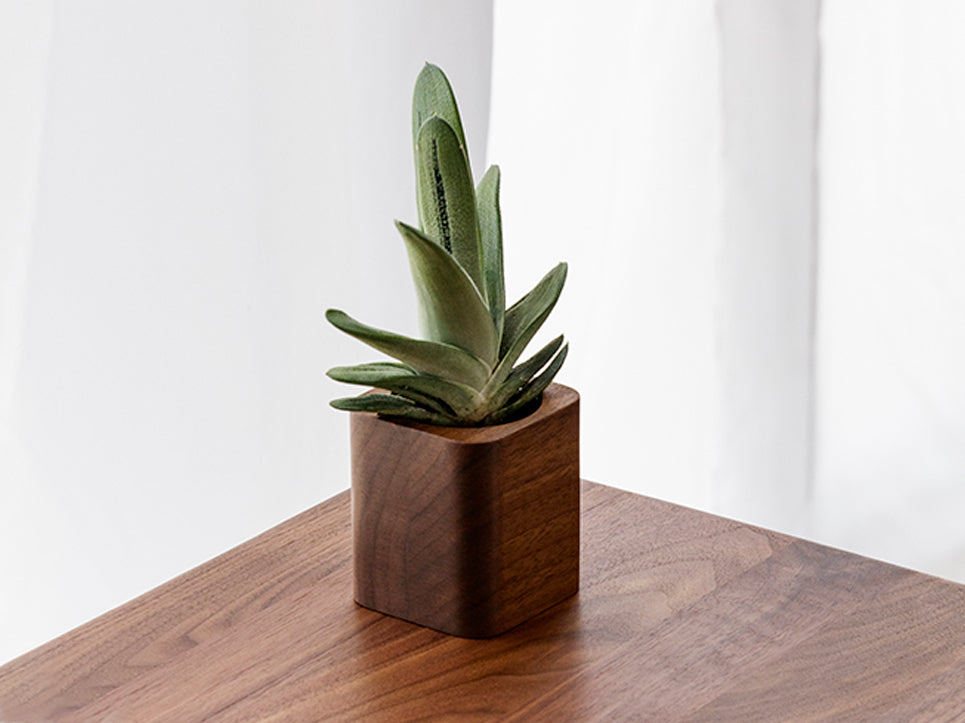 Cubic Pot (Outlet)